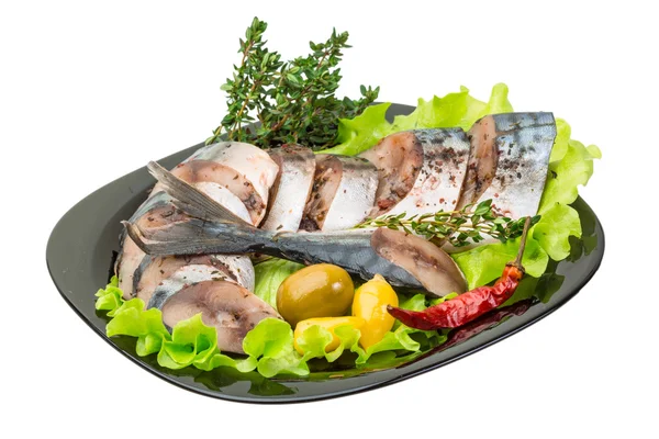 Mackerels — Stok fotoğraf