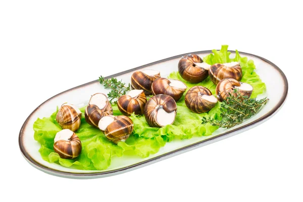 Escargot. — Fotografia de Stock