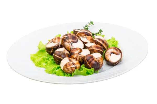 Escargot — Stockfoto