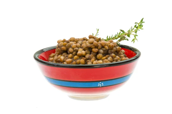 Backed lentils — Stock Photo, Image