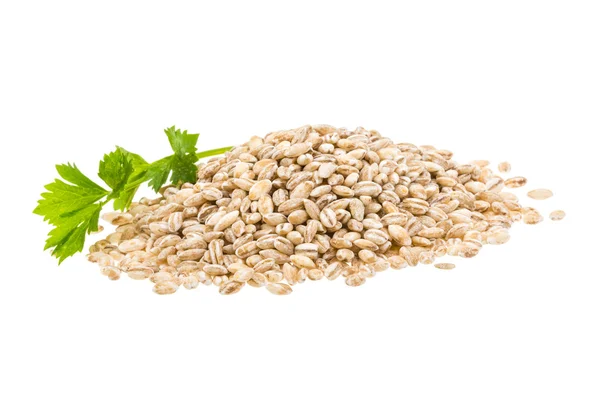 Pearl Barley — Stock Photo, Image