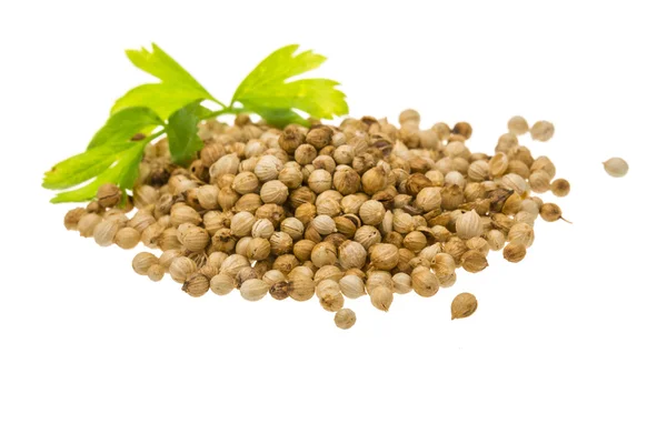 Coriandr seeds — Stock Photo, Image
