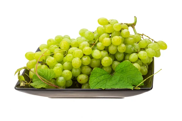 Green bright grape — Stock Photo, Image