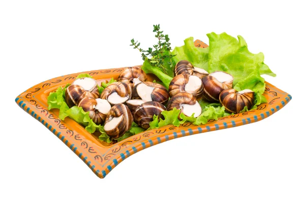 Escargot — Stock Photo, Image