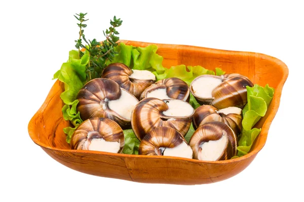 Escargot — Foto Stock