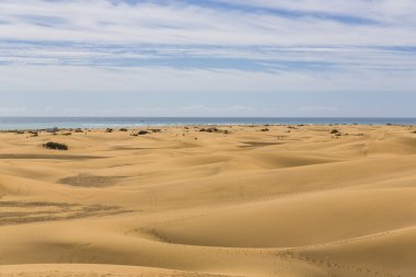 Maspalomas Duna - Kanarya adası Büyük Kanarya Çölü