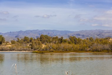 maspalomas dunas vahası
