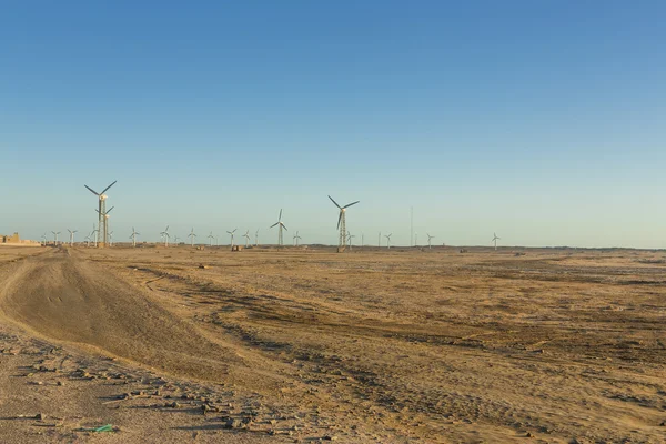 Wind farm — Stock Photo, Image