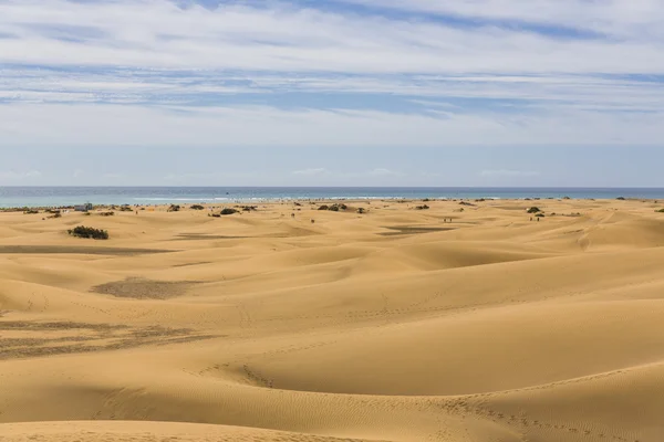 Maspalomas Duna - Deserto na ilha Canária Gran Canaria — Fotografia de Stock