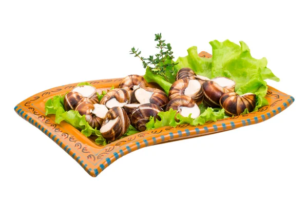 Escargot — Stockfoto