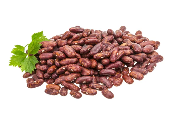 Red Bean — Stock Photo, Image