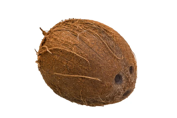 Coconut — Stock Photo, Image