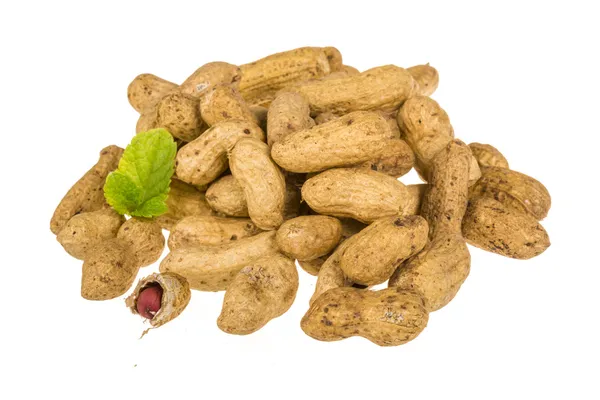 Peanut — Stock Photo, Image