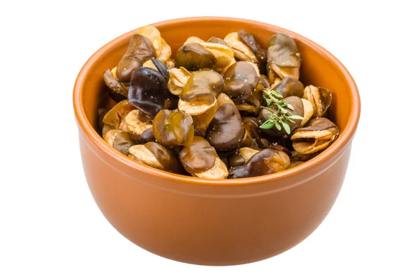 Fagioli larghi — Foto Stock