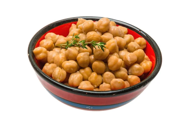 Chickpea — Stock fotografie