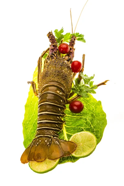 Rå spiny hummer — Stockfoto