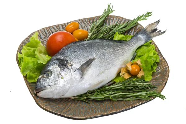 Raw dorado with herbs — Stock Photo, Image