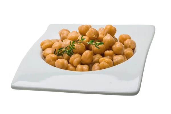 Chickpea — Stock fotografie