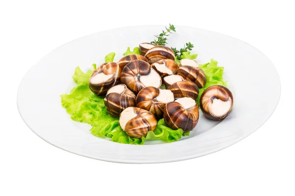 Escargot — 스톡 사진