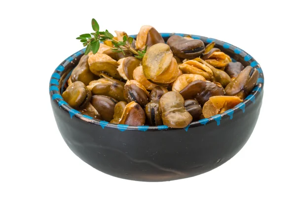 Fagioli larghi — Foto Stock