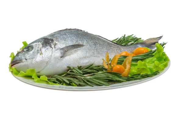 Raw dorada — Stock Photo, Image