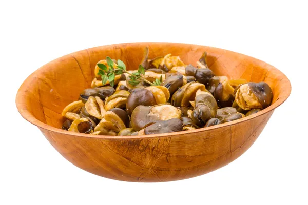 Fagioli larghi — Foto Stock