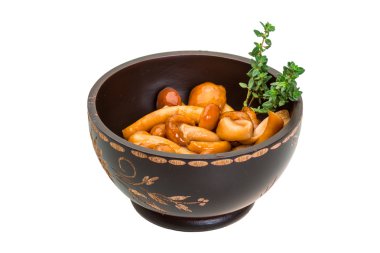 Armillaria