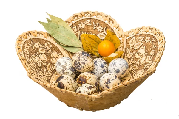 Quail eggs — Stock Photo, Image