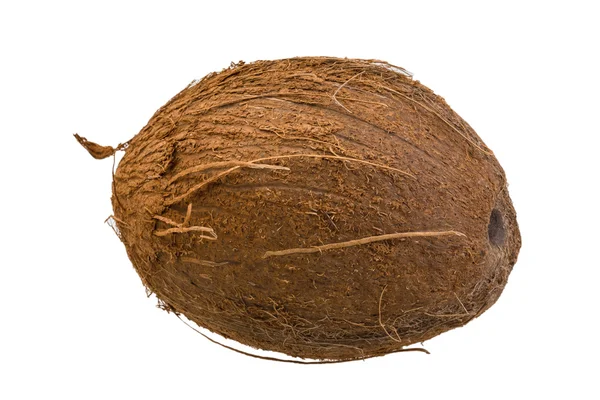 Coconut — Stock Photo, Image