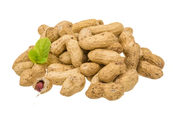 Peanut — Stock Photo, Image