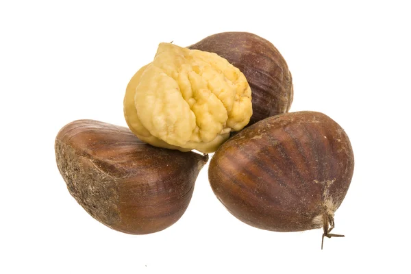 Chestnut — Stock Photo, Image