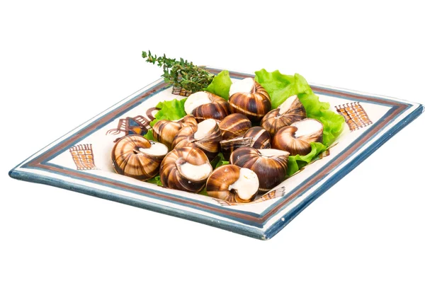 Escargot — Foto Stock