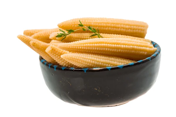 Baby corn — Stock Photo, Image