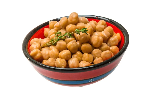 Chickpea — Stock fotografie