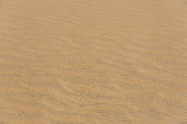 Maspalomas Duna - Desert in Canary island Gran Canaria — Stock Photo, Image