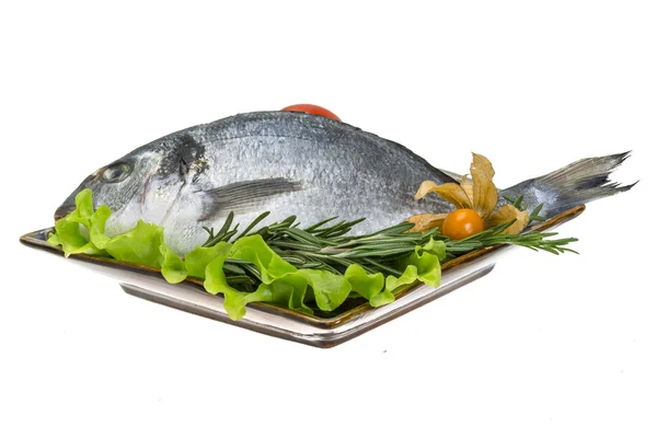 Raw dorado with herbs — Stock Photo, Image