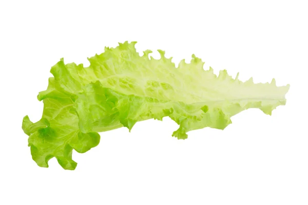 Salad leaves — Stock Photo, Image