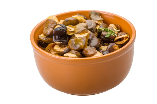 Fagioli larghi — Foto Stock