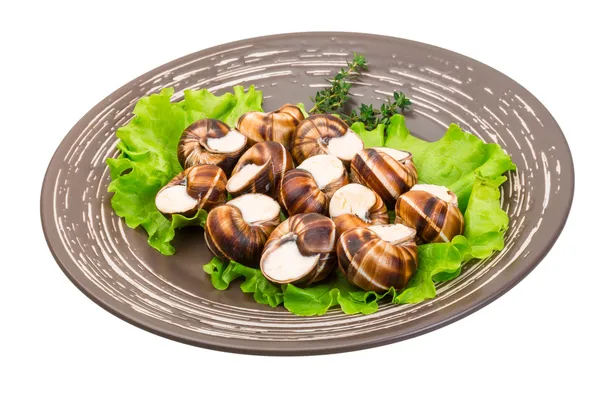 Escargot — Foto Stock