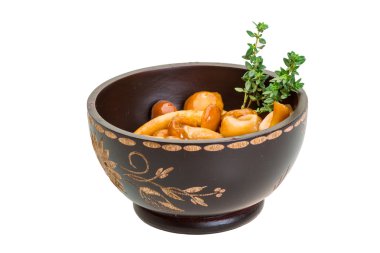 Armillaria