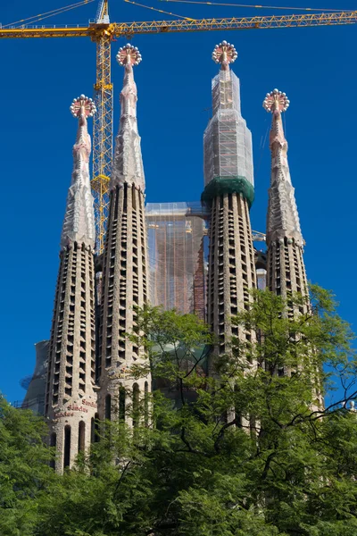 La Sagrada Familia - la impresionante catedral — Foto de Stock