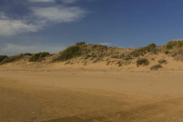 Duna del desierto —  Fotos de Stock