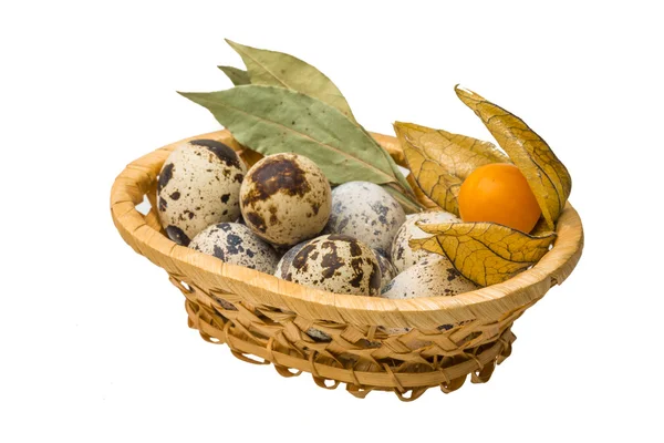 Quail eggs — Stock Photo, Image