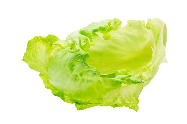 Salade iceberg — Photo