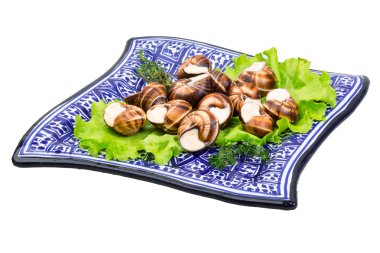 salyangoz