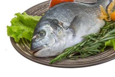 otlar ile ham dorado