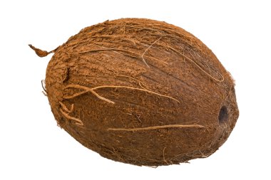 Hindistan cevizi