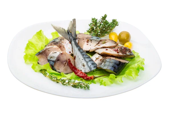 Mackerels — Stock Photo, Image