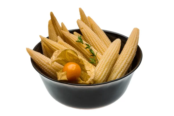 Baby corn — Stockfoto