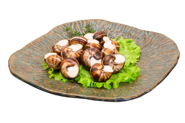 Escargot — Stockfoto